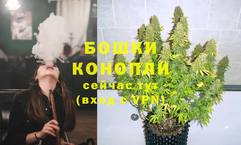 Бошки марихуана THC 21%  купить наркотики сайты  Аткарск 